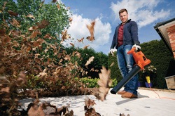 Black and Decker - AspiratorSuflanta 2800W - GW2810