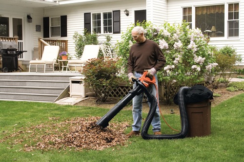 Black and Decker - ro 3000W Blower Vac with leaf collection system - GW3050