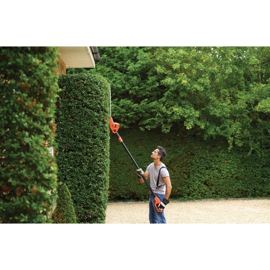 BLACKDECKER PH5551 pole hedge trimmer used for tall hedge trimming outdoors.